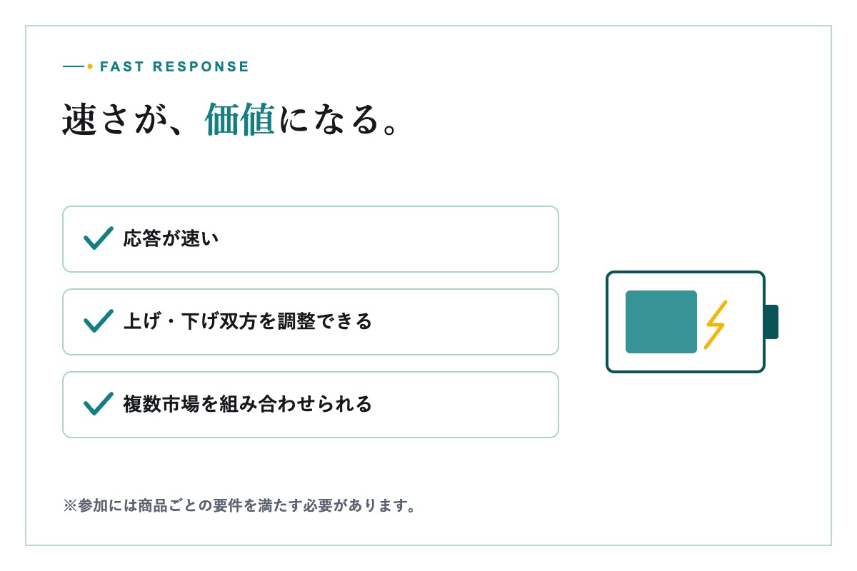 系統用蓄電池設備を点検する技術者